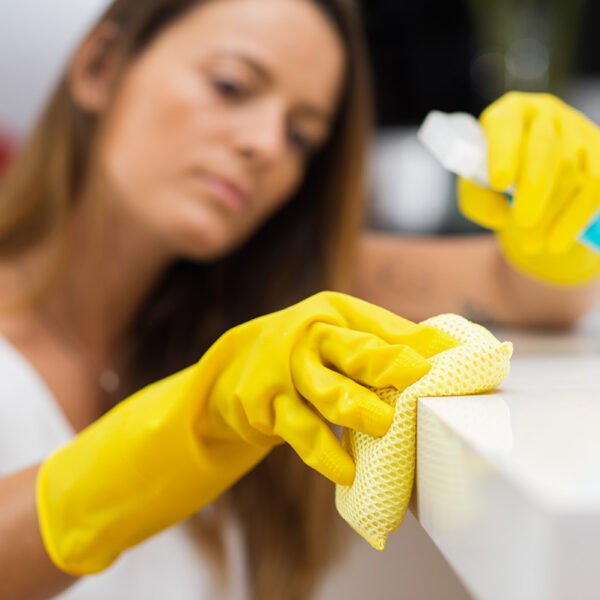 EcoShine Bathroom Disinfectant