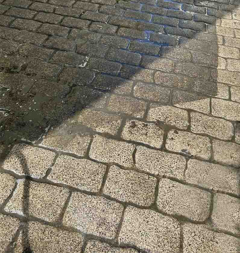 BioDefend Concrete Cleaner - Moss & Mould Killer (Disinfectant Type)