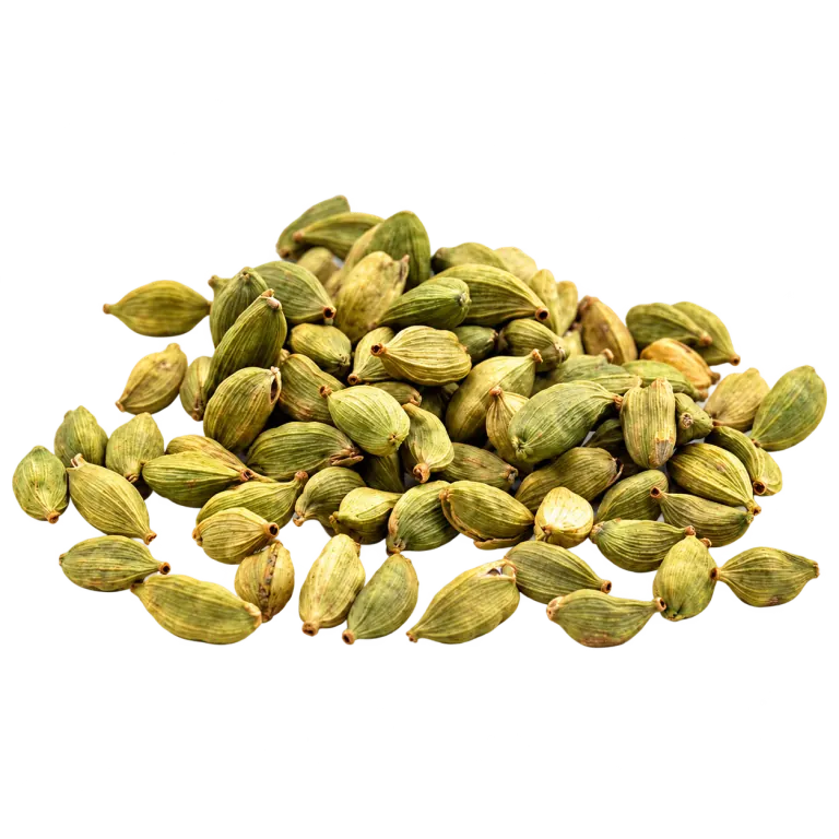 Cardamom Essential Oil