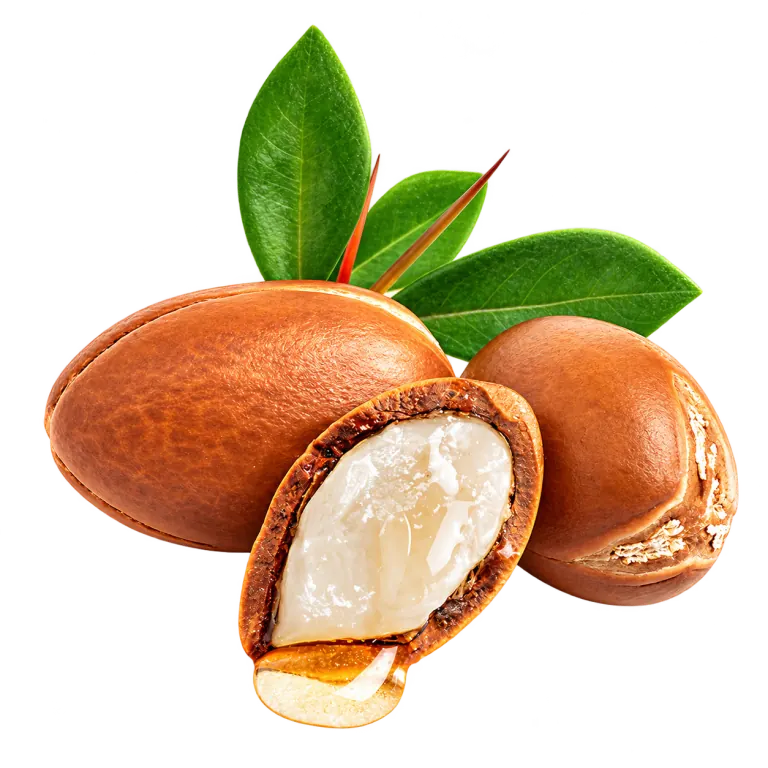 Organic Shea Butter